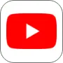 Youtube link