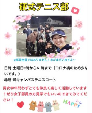 硬式テニス部のビラ