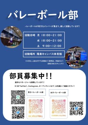 バレーボール部のビラ