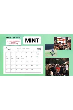 MINTのビラ