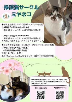 ミヤネコ(保護猫サークル)のビラ