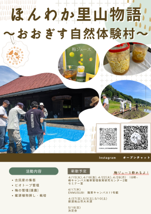 ほんわか里山物語♪～おおぎす自然体験村～のビラ