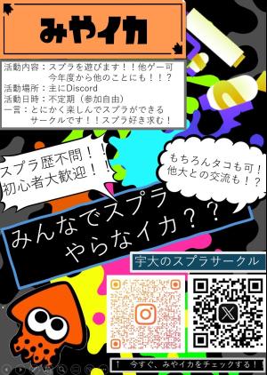 みやイカのビラ