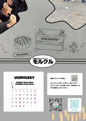 宇都宮大学モルックサークルモルクルのビラ