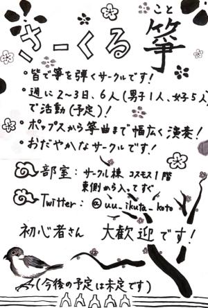 さーくる箏のビラ