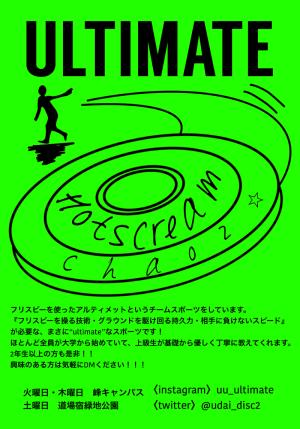 フライングディスクのビラ