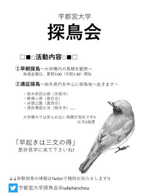 探鳥会のビラ