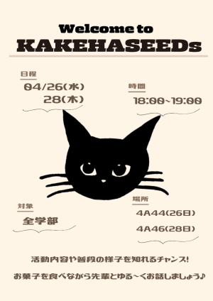 KAKEHASEEDsのビラ