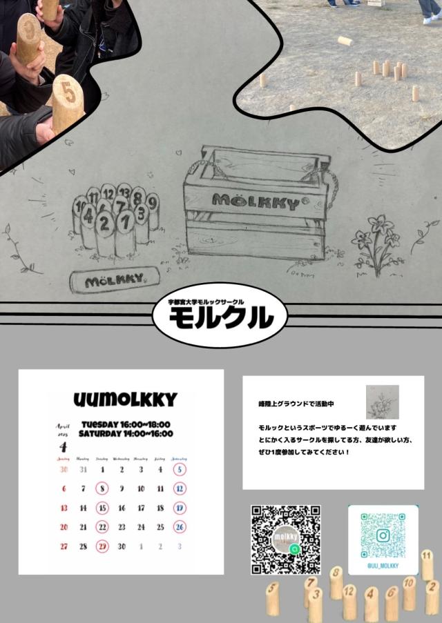 宇都宮大学モルックサークルモルクル新歓ビラ