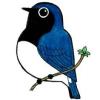 探鳥会のロゴ
