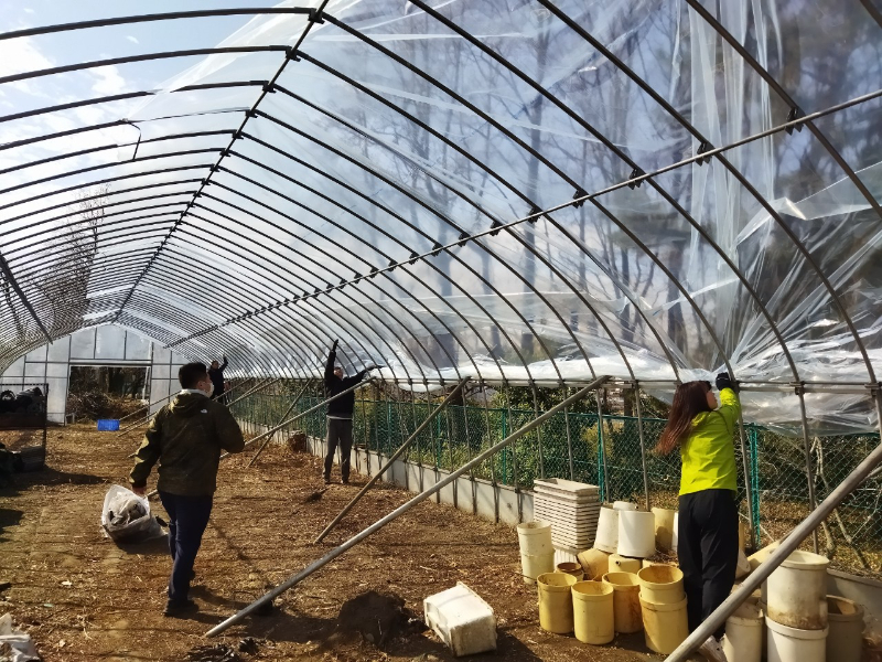 園芸研究会＆植物園プロジェクトの活動の様子