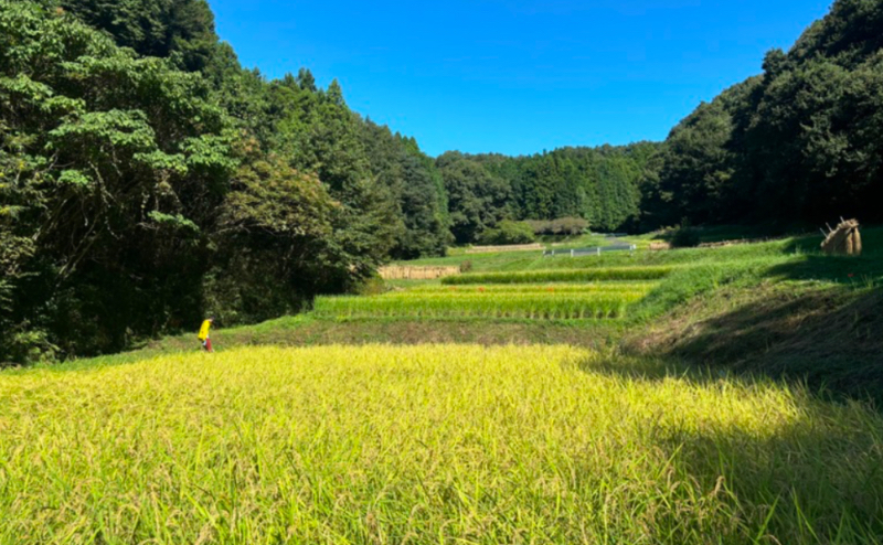 里山キャンパス益子家の活動の様子