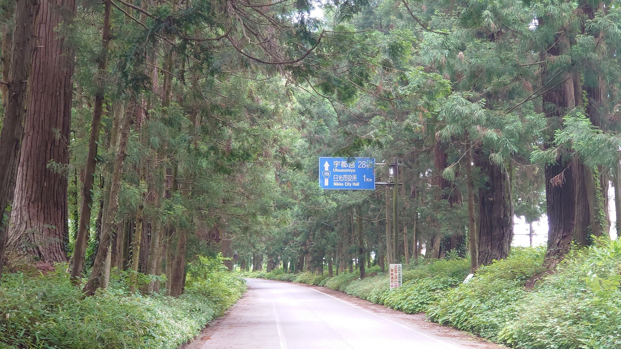 地理研究会の活動の様子