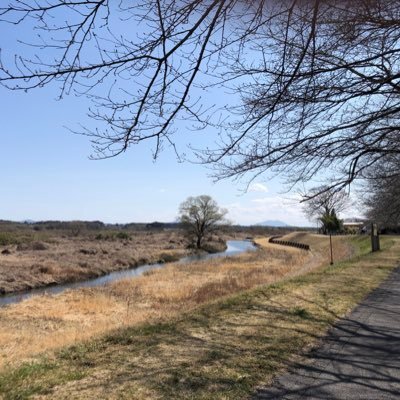 地理研のアイコン