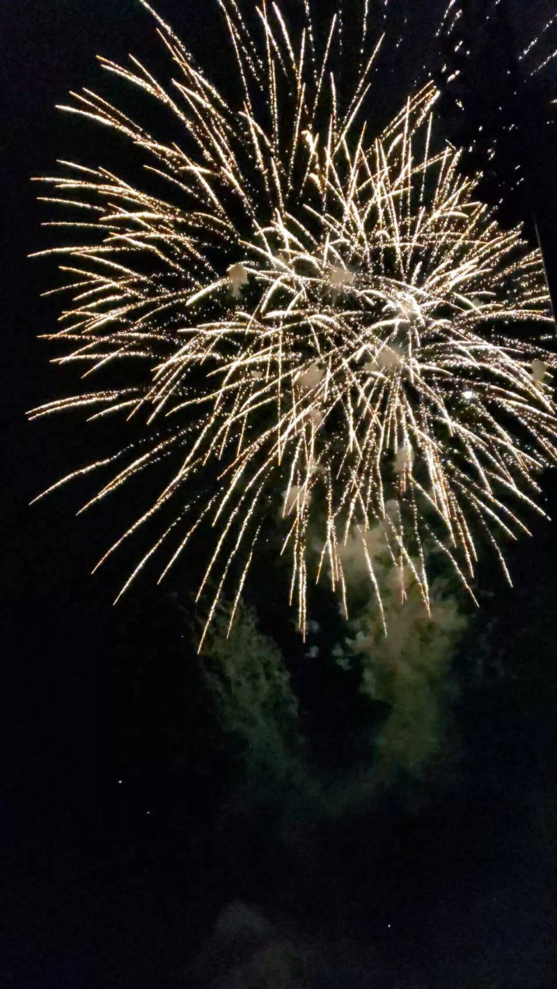 宇都宮大学大学祭実行委員会の活動の様子