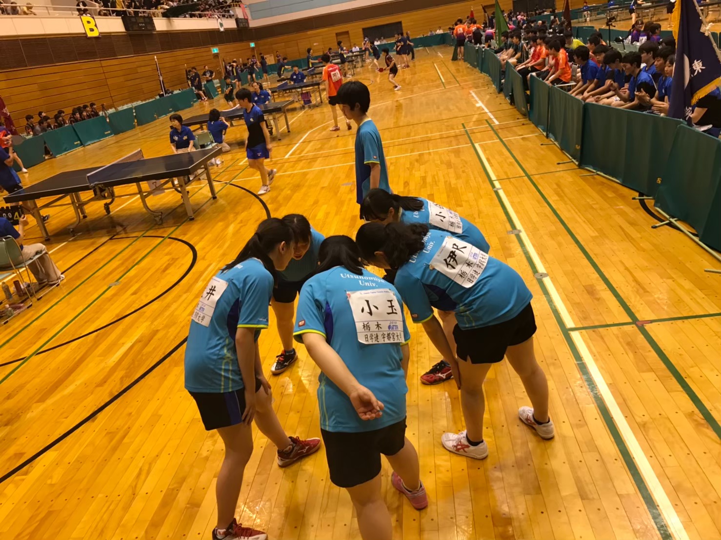 卓球部の活動の様子