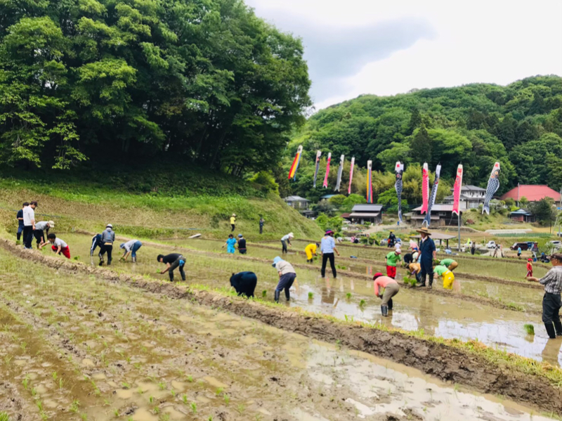 農業サークルさとびとの活動の様子