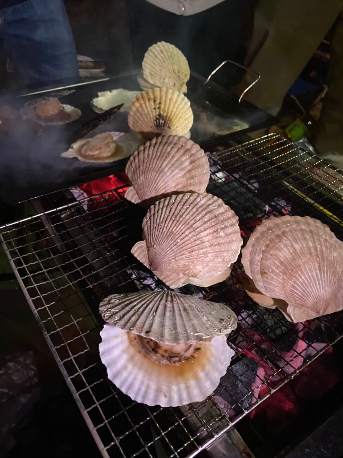 釣猿の活動の様子
